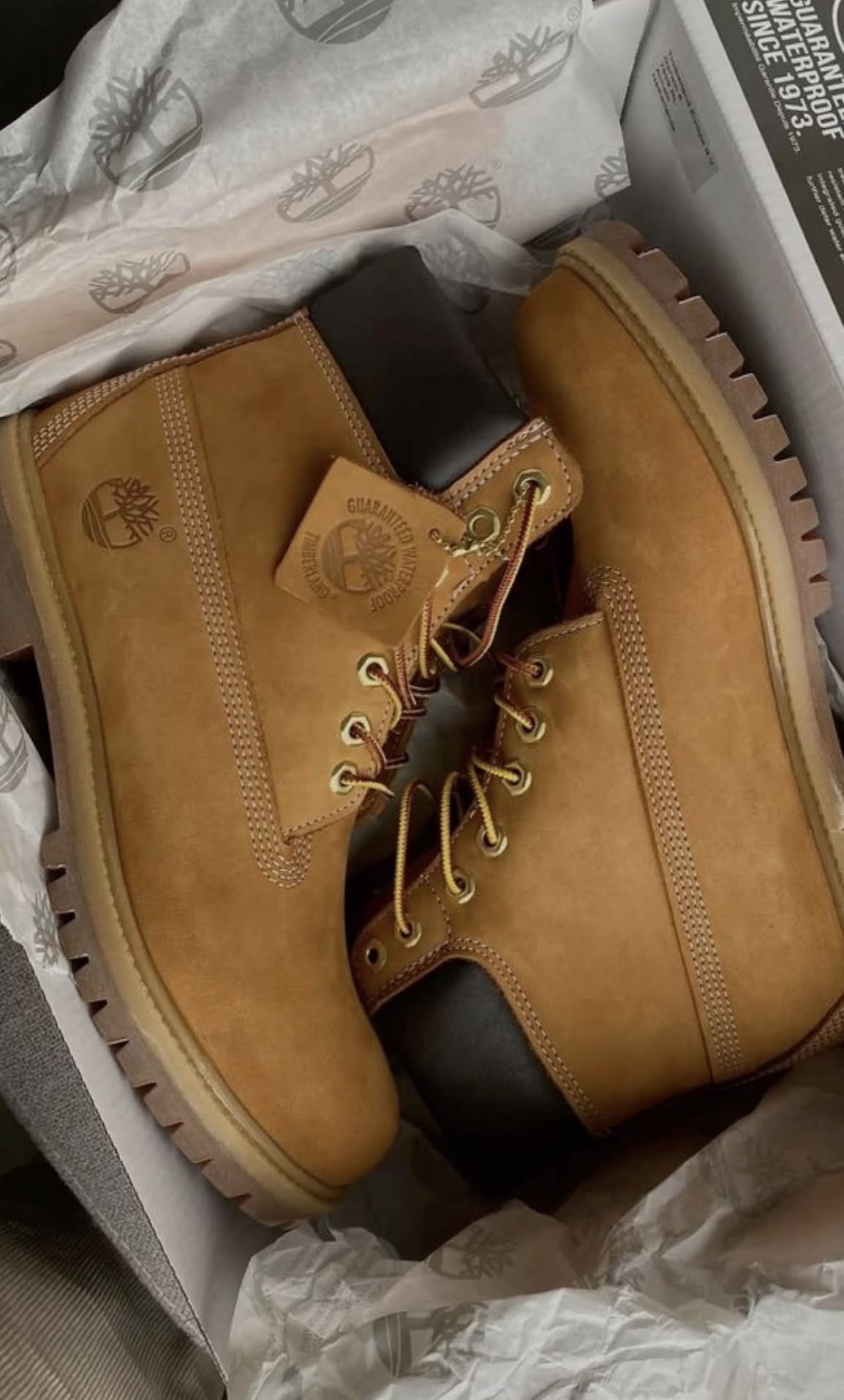 Timberland Wheat boots in box with tissue